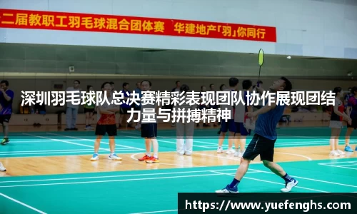 深圳羽毛球队总决赛精彩表现团队协作展现团结力量与拼搏精神