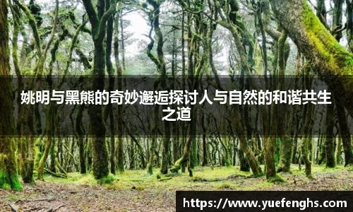 姚明与黑熊的奇妙邂逅探讨人与自然的和谐共生之道