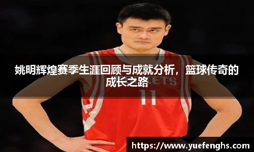 姚明辉煌赛季生涯回顾与成就分析，篮球传奇的成长之路